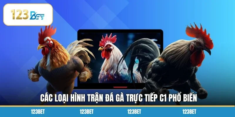 Các loại hình trận đá gà trực tiếp c1 phổ biến