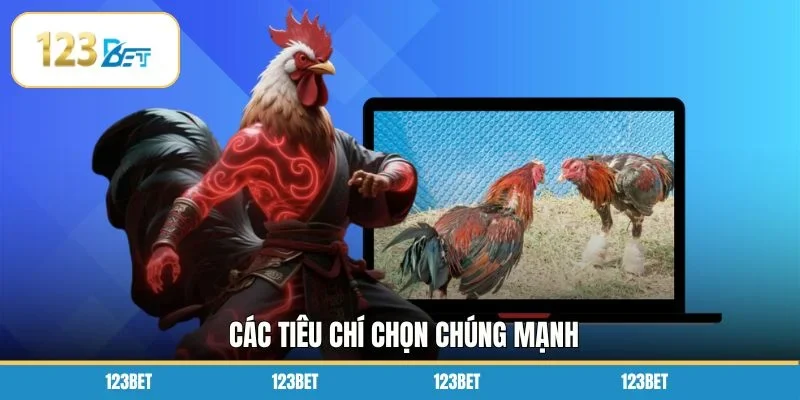 Các tiêu chí chọn chúng mạnh