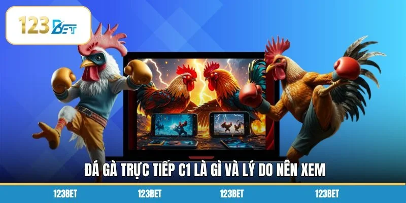 Đá gà trực tiếp c1 là gì và lý do nên xem