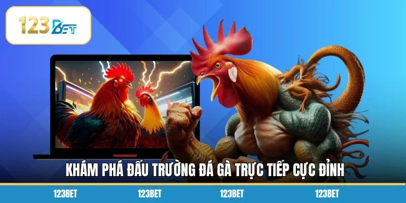 Khám phá đấu trường đá gà trực tiếp cực đỉnh