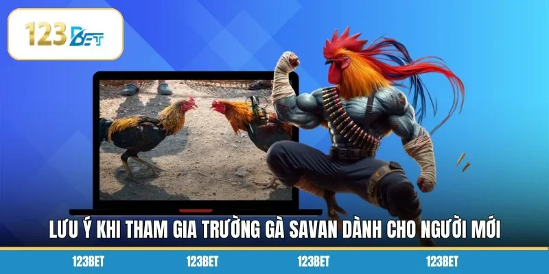 Lưu ý khi tham gia trường gà savan dành cho người mới 