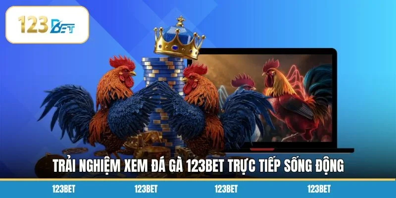 Trải nghiệm xem đá gà 123bet trực tiếp sống động